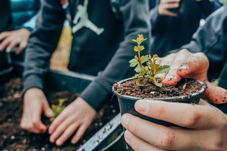 Dan zemlje v Občini Gornja Radgona in javni podpis Zelene zaveze slovenskega turizma 2